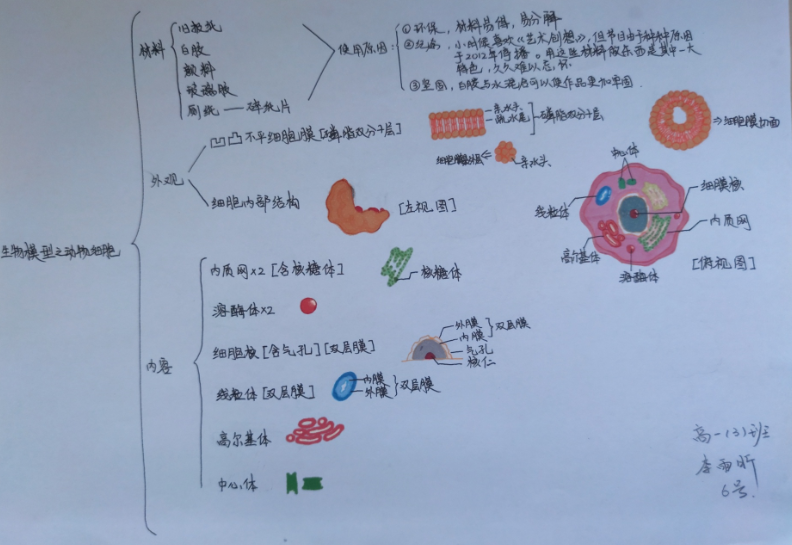 图片11.png