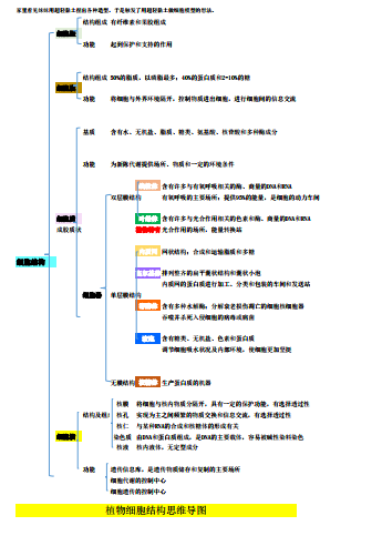 图片13.png