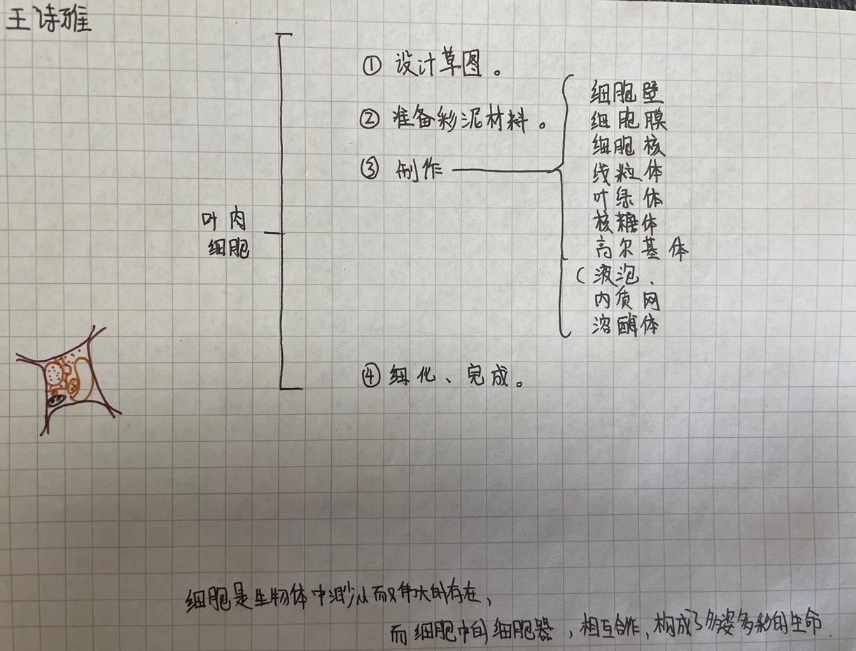 图片17.png