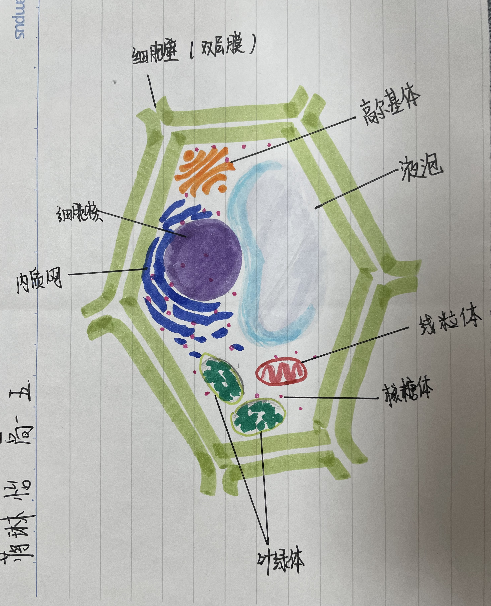 图片25.png